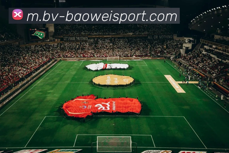 宝威体育APP 封面图