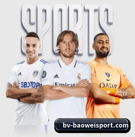 宝威体育 APP - BOWWAYSPORTS