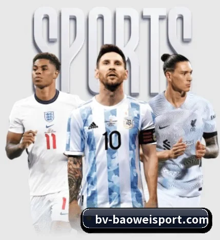 用内容积累长期价值（BOWWAYSPORTS）